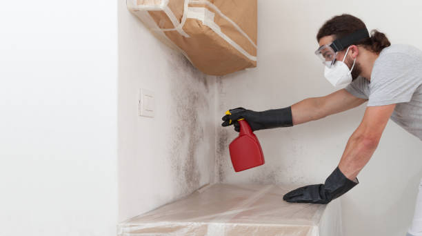 Professional Mold Remediation technician working in Augusta, MI