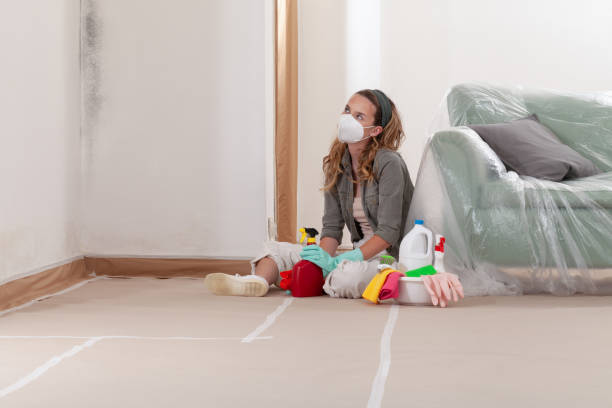 Reliable Mold Remediation contractor in Augusta, MI by WQB Mold Removal